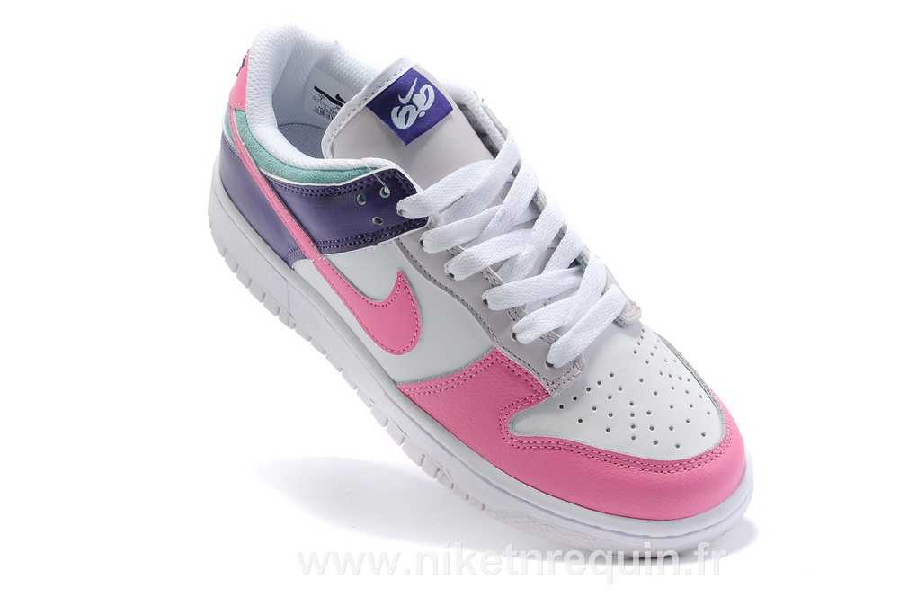 Nike Dunk Sb Femmes